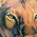 Realistic Lion tattoo by Club Tattoo