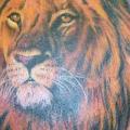 Shoulder Realistic Lion tattoo by Club Tattoo