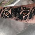 tatuaje Brazo Ojo Tigre por Dimitri Tattoo