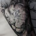 Arm Realistic Lion tattoo by Dimitri Tattoo