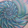 Rücken Schale tattoo von The Blue Rose Tattoo