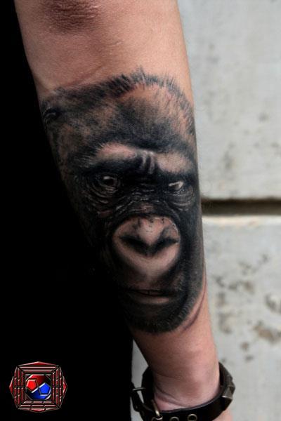 Arm Realistic Monkey Tattoo by Tattoo Korea