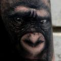 Arm Realistic Monkey tattoo by Tattoo Korea