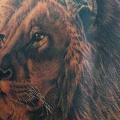 Shoulder Realistic Lion tattoo by Inkholic Tattoo