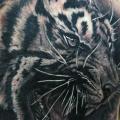 Shoulder Realistic Tiger tattoo by Inkholic Tattoo