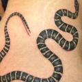 tatuaggio Serpente Fianco di Inkholic Tattoo