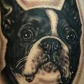 Arm Realistische Hund tattoo von Seoul Ink Tattoo