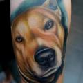 Arm Realistische Hund tattoo von Khan Tattoo
