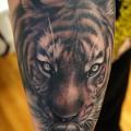 tatuaje Brazo Realista Tigre por Khan Tattoo