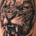 Arm Realistic Lion tattoo by Artifex Tattoo