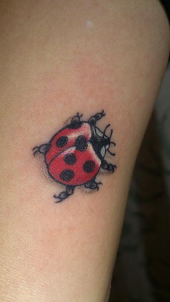 Ladybug Tattoo by Shimokita Ink