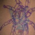 Spinnen Cover-Up tattoo von Hell Tattoo
