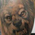 tatuaggio Spalla Realistici Lupo di Hell Tattoo