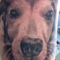 Arm Realistische Hund tattoo von Leds Tattoo