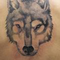 Rücken Wolf Dotwork tattoo von Maceio Tattoo