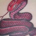 tatuaje Serpiente Vientre por Tattoo Irezumi