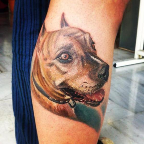 Arm Realistic Dog Tattoo by Sake Tattoo Crew