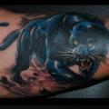 Arm Panther tattoo von Medusa Tattoo