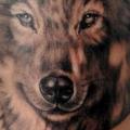 Schulter Realistische Wolf tattoo von Medusa Tattoo