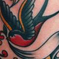 Arm Old School Spatz tattoo von All Star Ink Tattoos