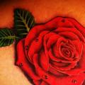Realistische Blumen Rose Oberschenkel tattoo von Ibiza Ink