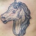 Seite Pferd Zeichnung tattoo von LW Tattoo