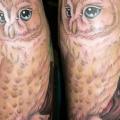 Shoulder Realistic Owl tattoo by Soma Tiger Tattoo