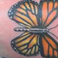 Fuß Schmetterling tattoo von Sonic Tattoo