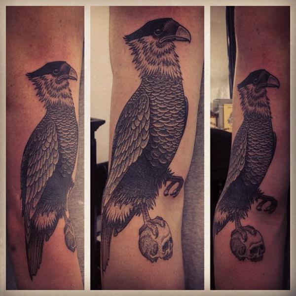 Tatuaje Brazo Dotwork Pájaro por Gregorio Marangoni