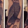 tatuaje Brazo Dotwork Pájaro por Gregorio Marangoni