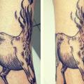 Arm Fantasie Dotwork Pferd tattoo von Gregorio Marangoni