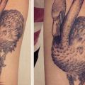 Dotwork Flamingo tattoo von Gregorio Marangoni