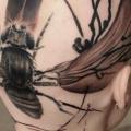 Head Fly Trash Polka tattoo by Buena Vista Tattoo Club