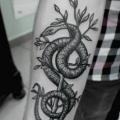 tatuaggio Braccio Serpente Dotwork di Master Tattoo