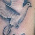Arm Schwalben tattoo von Seven Arts