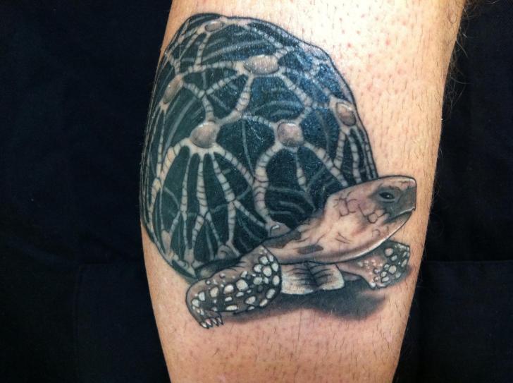 Tatuaggio Realistici Polpaccio Tartaruga di Cesar Lopez Tattoo