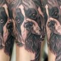 Arm Realistische Hund tattoo von Cosa Fina Tattoo