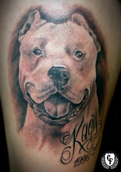Realistische Hund Tattoo von Cosa Fina Tattoo