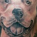 Realistic Dog tattoo by Cosa Fina Tattoo