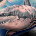 Arm Realistic Shark tattoo by Astin Tattoo