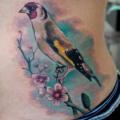 tatuaggio Realistici Fianco Uccello di Astin Tattoo