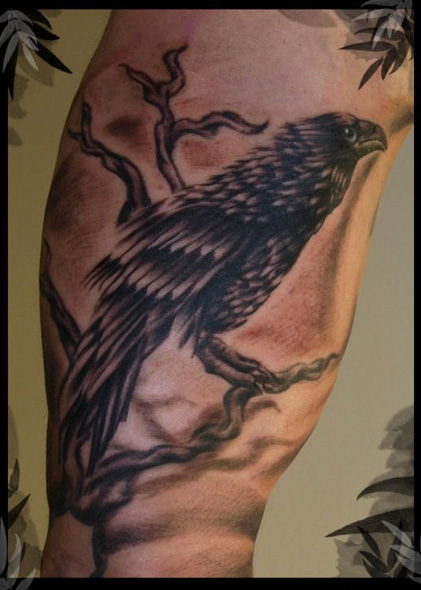 Tatuaje Brazo Realista Cuervo por Art Line Tattoo