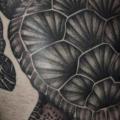Rücken Schildkröte tattoo von Tin Tin Tattoos