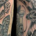 Leg Dotwork Moth tattoo by Tin Tin Tattoos