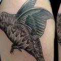 tatuaje Hombro Dotwork Pájaro por Tin Tin Tattoos