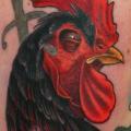 tatuaggio Braccio Realistici Gallo di Archive Tattoo