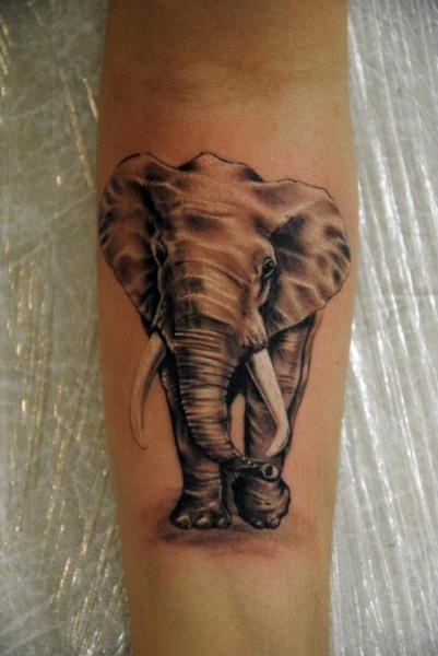 Tatuaje Brazo Realista Elefante por Mai Tattoo