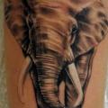 Arm Realistic Elephant tattoo by Mai Tattoo