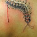 Rücken Wurm tattoo von Mai Tattoo