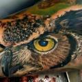 Arm Realistic Owl tattoo by Matt Jordan Tattoo